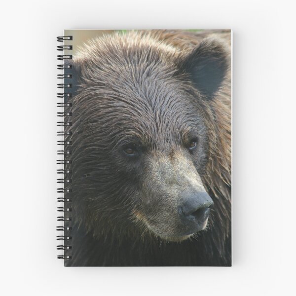 Item preview, Brown Bear designed and sold by Carol Bock.