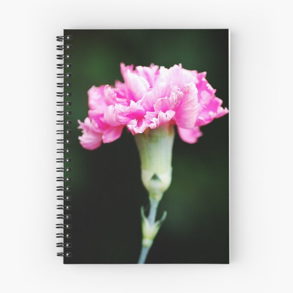 Item preview, Carnation designed and sold by kiaiare.