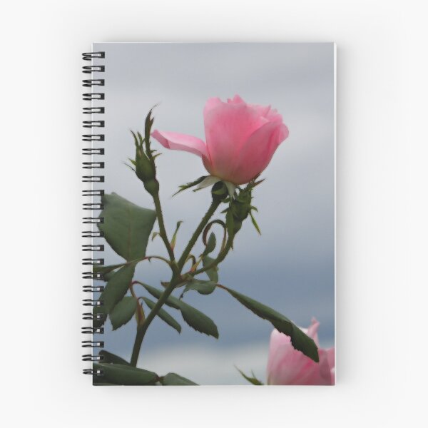 Item preview, Some Say Love designed and sold by NatureGreeting Cards ©ccwri.