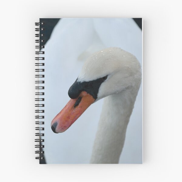Item preview, Handsome designed and sold by Susan Christiano.