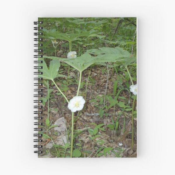 Item preview, May Apples in Bloom (Appalachian plant life) designed and sold by Cari Moore.