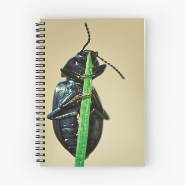 Item preview, Hidden Beetle designed and sold by SD Smart.