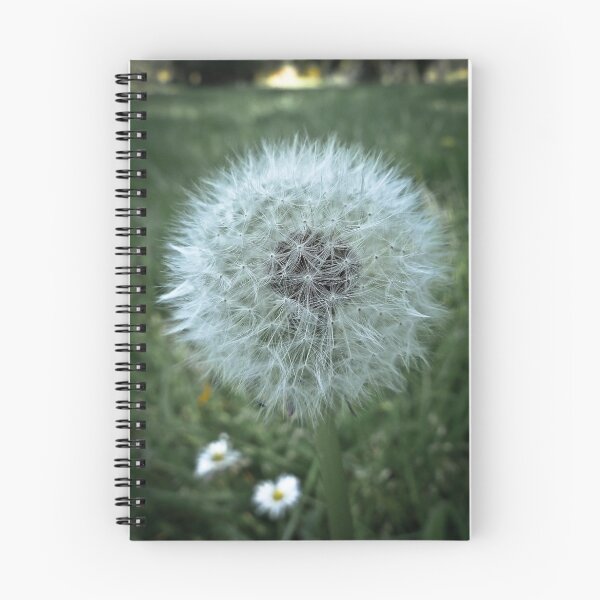 Item preview, Dandelion   designed and sold by yorgi.