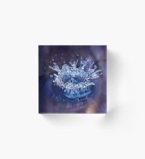 Celibration of Life Acrylic Block