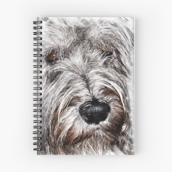 Item preview, Ziggy designed and sold by Peter Howes.
