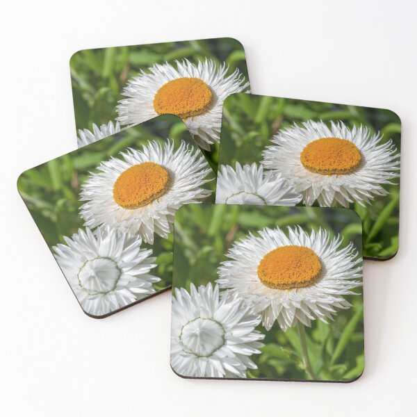 Item preview, Everlasting Spring designed and sold by iCimages.net.