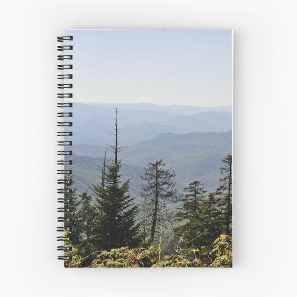 Aperçu de l'œuvre Clingmans Dome créée et vendue par JECunningham.