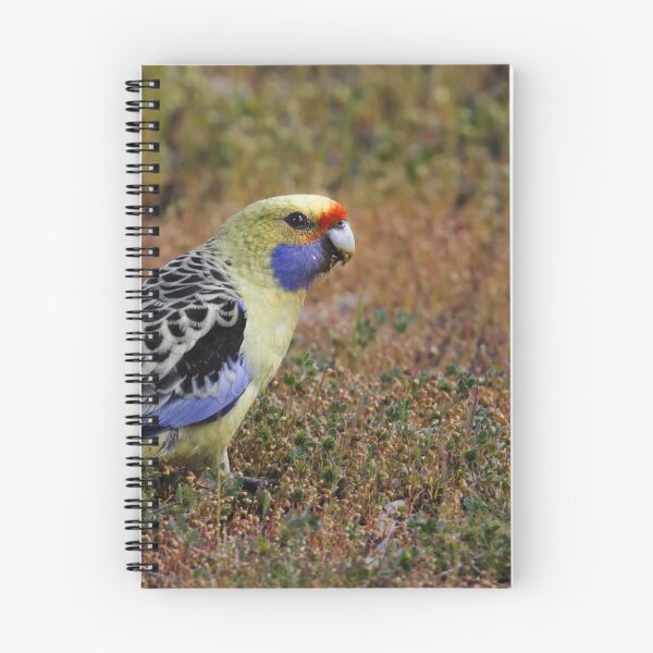 Item preview, Yellow Rosella designed and sold by Jeremy Weiss.