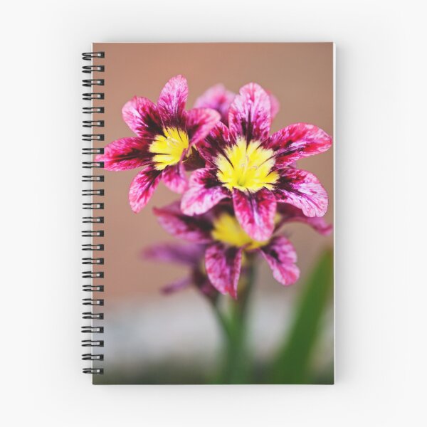 Aperçu de l'œuvre Fleur d'arlequin créée et vendue par Malcolm Garth.