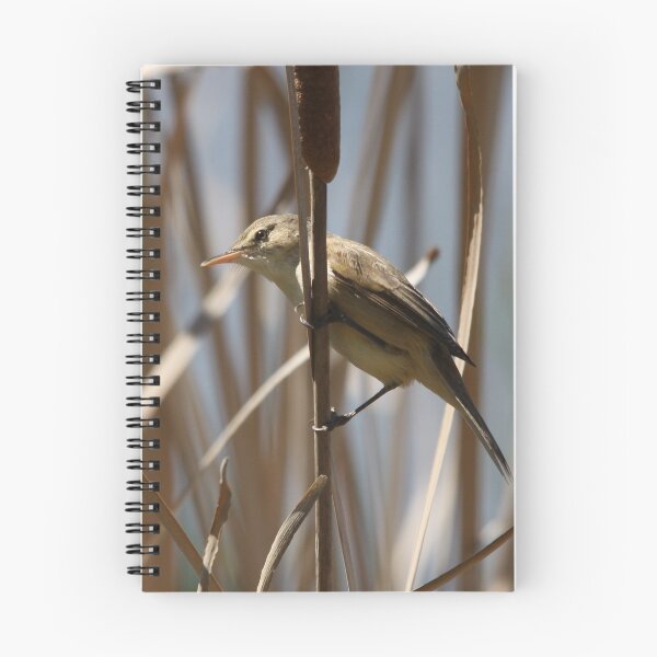 Item preview, Reed Warbler designed and sold by Gary  Davey.