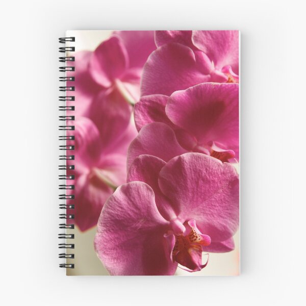 Aperçu de l'œuvre Orchidées créée et vendue par Sandra Lawrence.