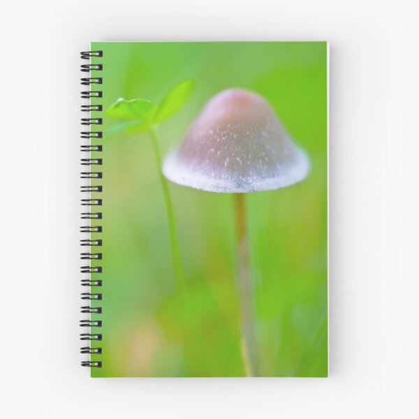Aperçu de l'œuvre My Mycena créée et vendue par finnarct.