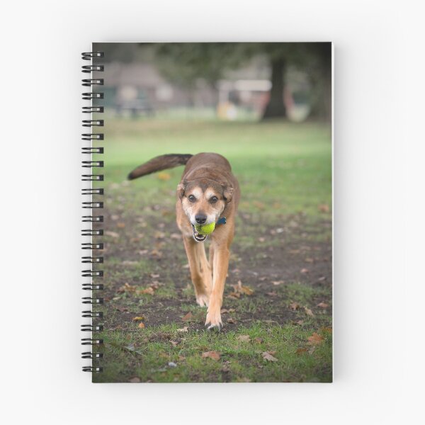 Item preview, Mans Best Friend designed and sold by Martyn Franklin.