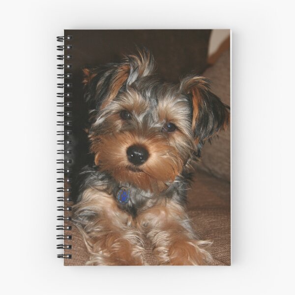 Item preview, Pretty Boy designed and sold by Elizma Knowles.