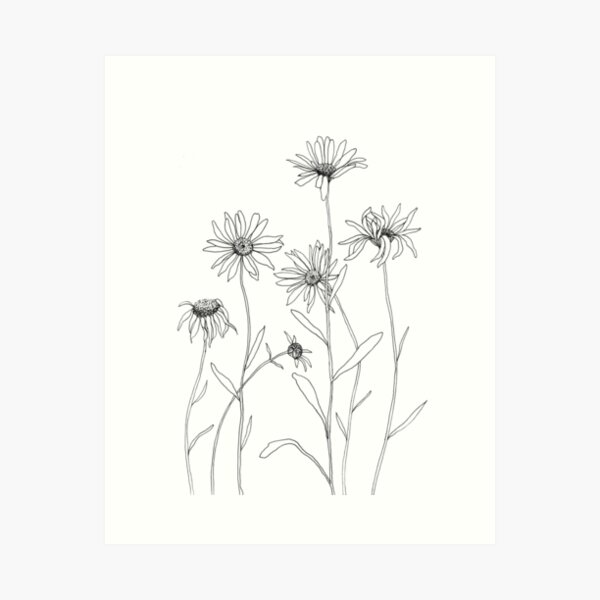 Black And White Dandelion Sketch Notebook by Magictrees & Bumblebees