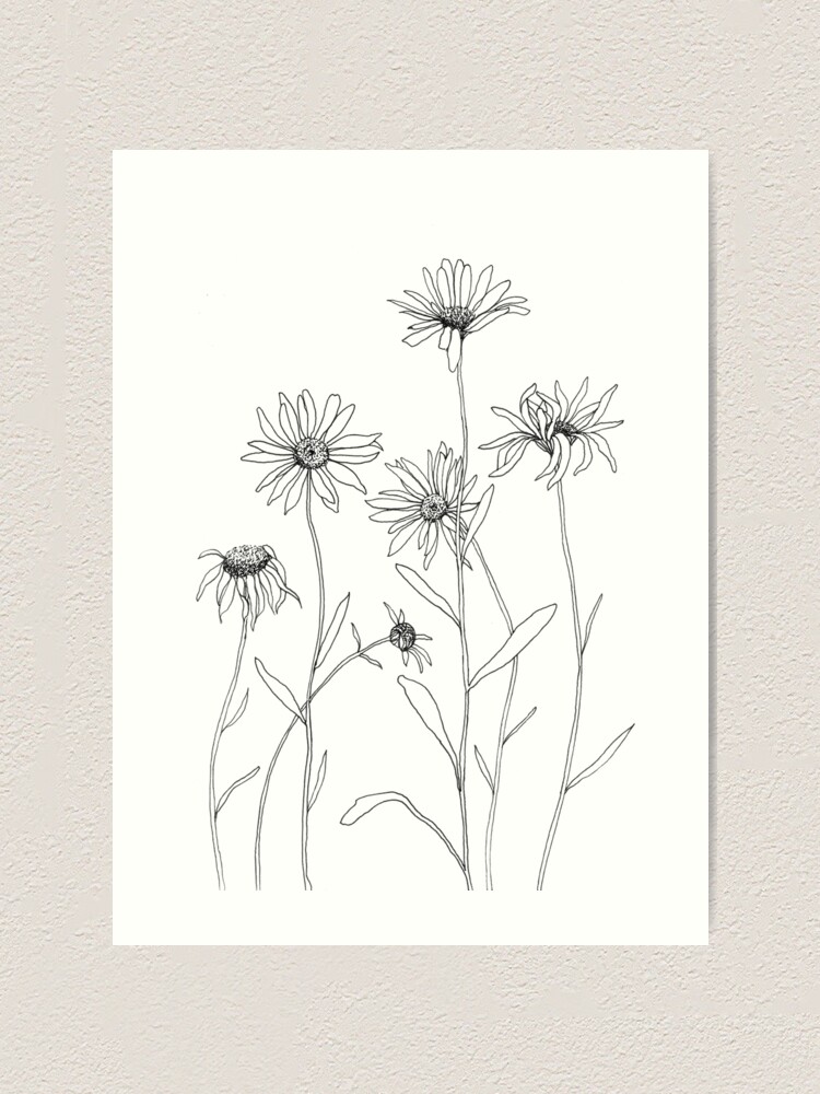 Alternate view of Daisies Art Print