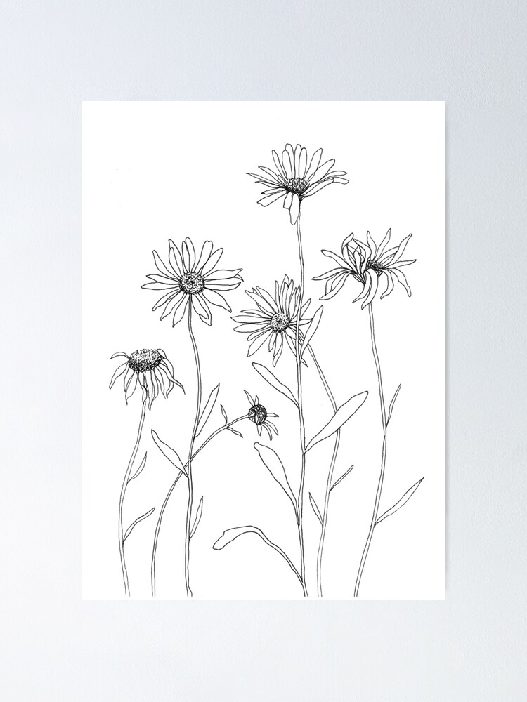 Alternate view of Daisies Poster