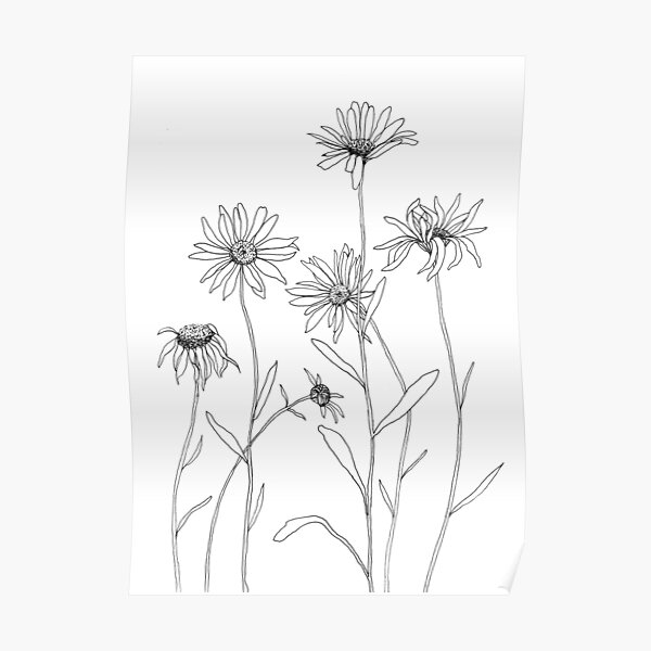 Daisies Poster