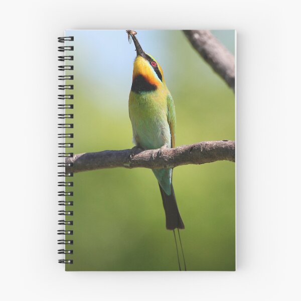Item preview, ''The Trophy'' Rainbow-Beeeater designed and sold by bowenite.