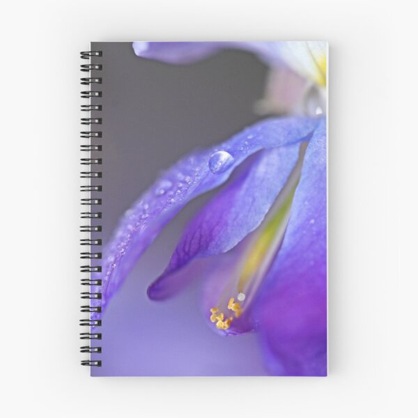 Item preview, "Delicious Wisteria ..." designed and sold by Rosehaven.