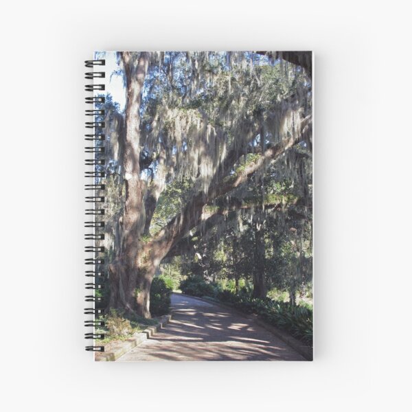 Item preview, Moss Draped Walkway designed and sold by RebeccaBlackman.