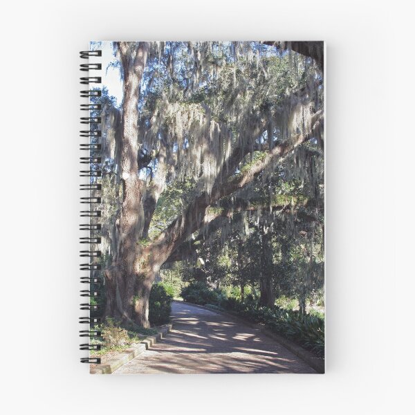 Item preview, Moss Draped Walkway designed and sold by RebeccaBlackman.