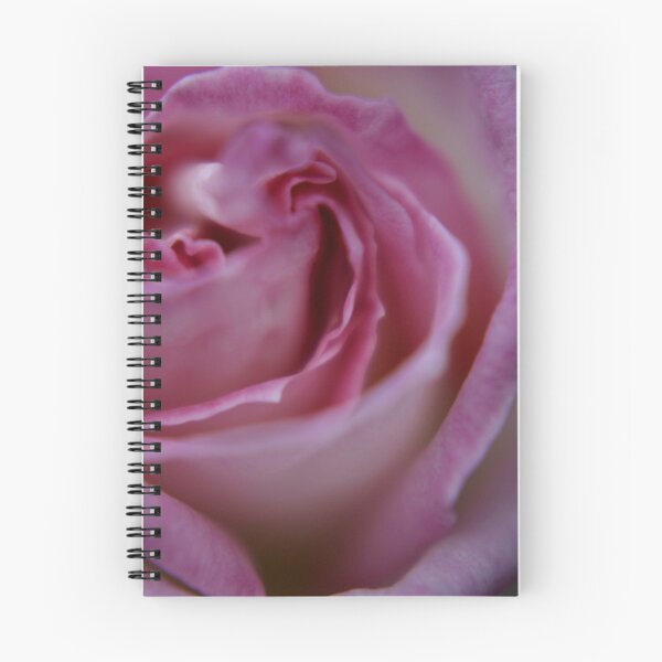 Item preview, El rosa suave de una rosa perfumada designed and sold by BecQuist.