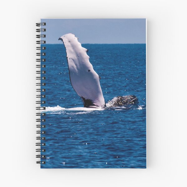 Item preview, Humpback Whale - Fin Slapping designed and sold by Jaxybelle.