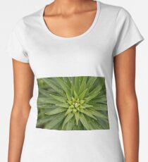 Fractals Women's Premium T-Shirt