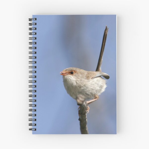 Item preview, Fairy Wren designed and sold by Austscapes.
