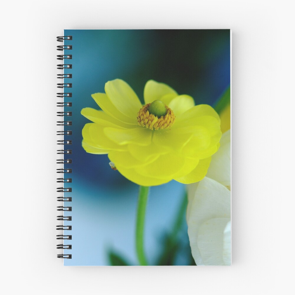Item preview, Spiral Notebook designed and sold by FineArtPhoto.
