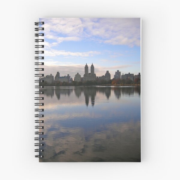 Item preview, central park | new york city designed and sold by Anthony Hennessy.