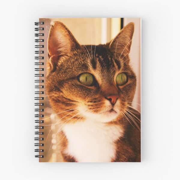 Item preview, Excuse me whilst I don't look at your camera designed and sold by Sophie MacLeod.