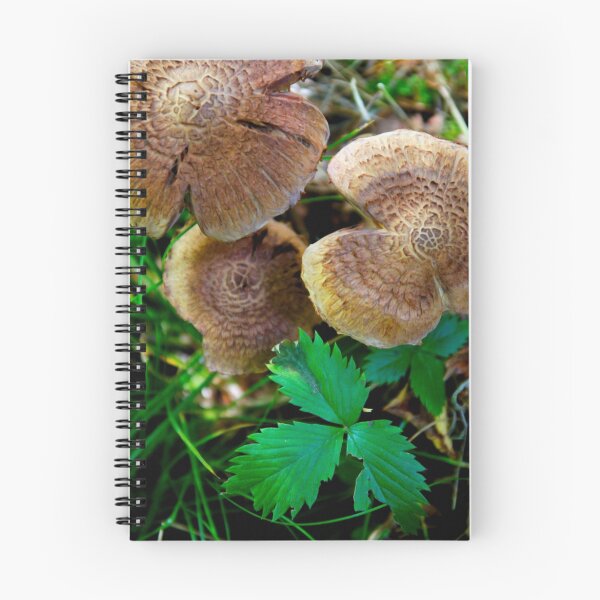 Item preview, Fungi Time designed and sold by Walter Quirtmair.