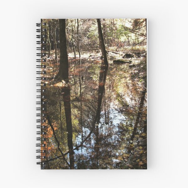 Item preview, Autumn Puddle Reflections designed and sold by linmarie.