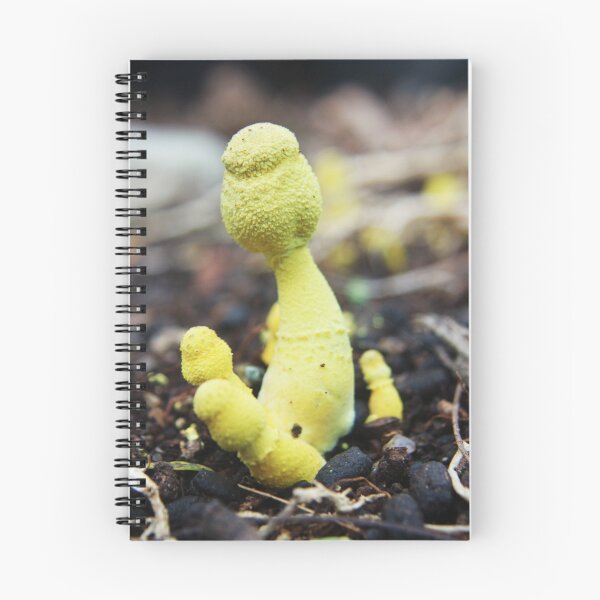 Item preview, Strange small fungi designed and sold by robmac.