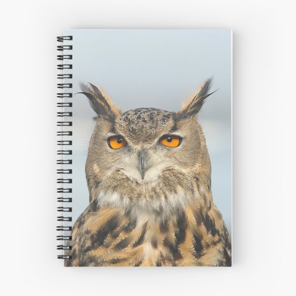 Item preview, Nipper the owl designed and sold by skanner30.