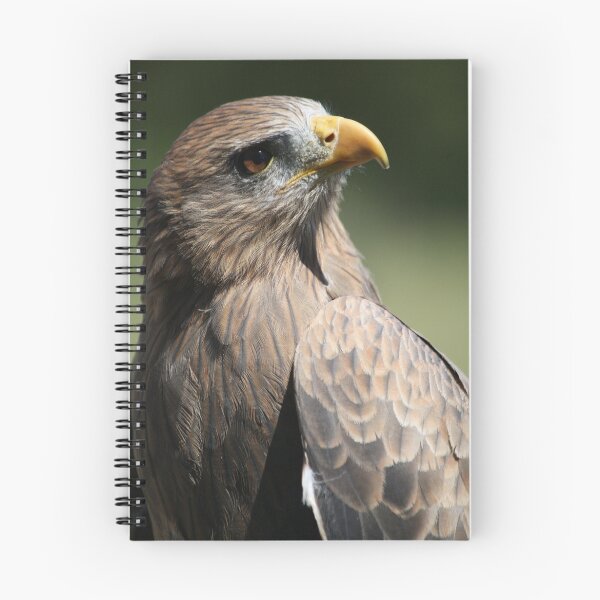 Item preview, Hawk Eye designed and sold by Paulette1021.