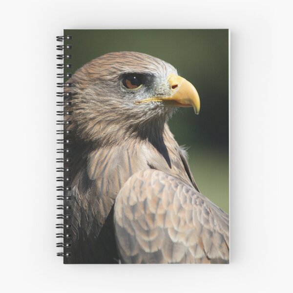 Item preview, Birds of Prey designed and sold by Paulette1021.