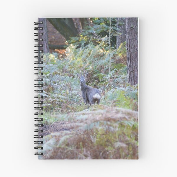 Item preview, Roe Deer buck in woodland designed and sold by Andy Beattie.