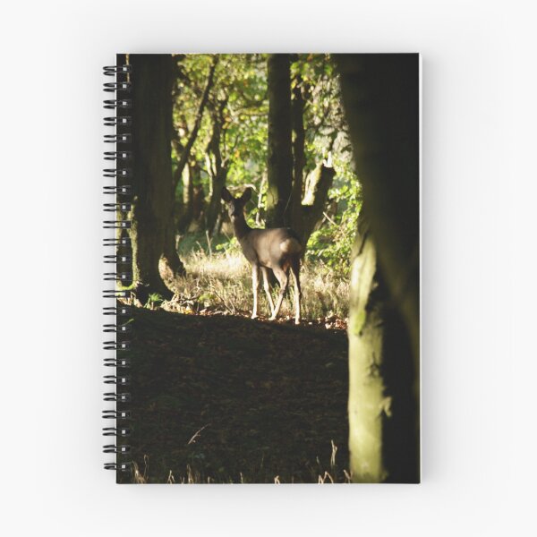 Item preview, Roe Deer doe in woodland 003 designed and sold by Andy Beattie.