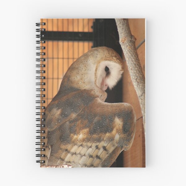 Item preview, Barn Owl designed and sold by starbucksgirl26.