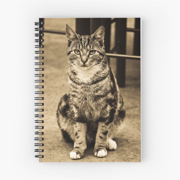Artikelvorschau, Regal Kitty entworfen und verkauft von Kimberly Deverell.