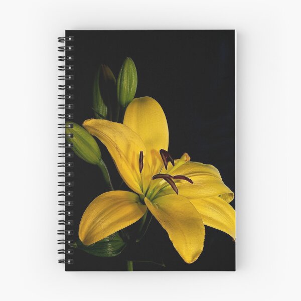 Item preview, Yellow Lily designed and sold by Snopaw.