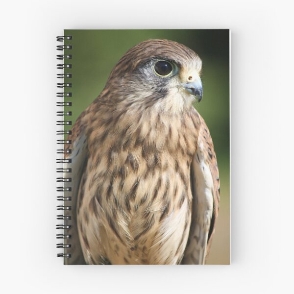 Item preview, Hawk Eye designed and sold by Paulette1021.
