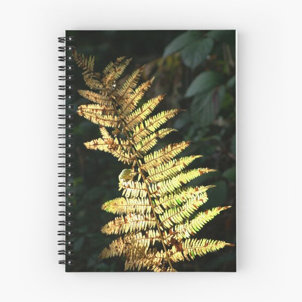 Item preview, Woodland Fern designed and sold by days-photographic.
