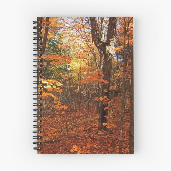 Item preview, "Autumn Glimpse Through The Woods" designed and sold by MarieR.