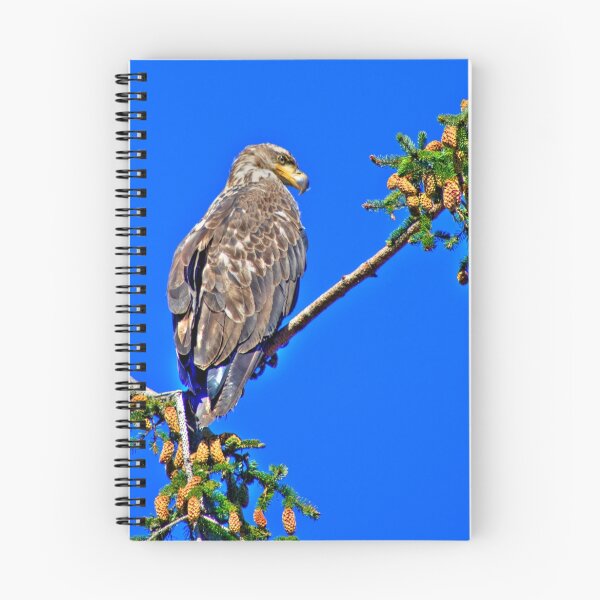 Item preview, "Perched" designed and sold by Bruce Jones.