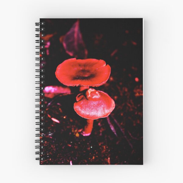 Item preview, Fungi in the woods one day, then I played with it :) designed and sold by gracetalking.