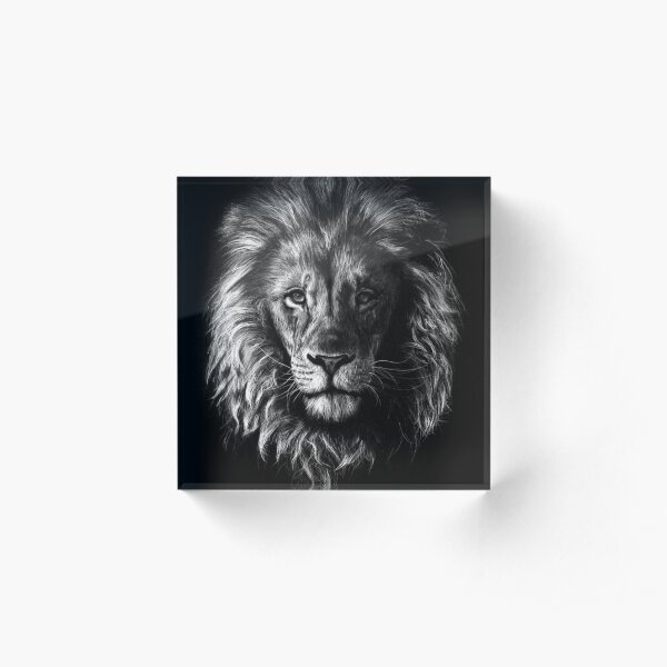 Löwenportrait Acrylic Block